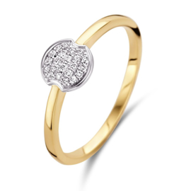 Excellent Jewelry Slanke Gouden Ring met Witgouden Diamanten Kopstuk