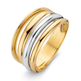 Excellent Jewelry Bicolor Ring met Witgouden Strook