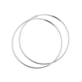 Oorringen 1,5 mm Ronde Buis / Diameter 25 mm