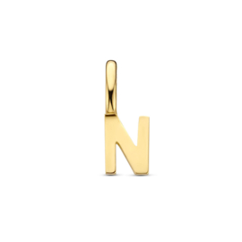 14K Geelgouden Hanger met Letter N