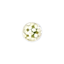 Witte Flora Insignia 14mm Muntje van MY iMenso