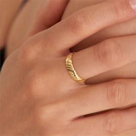 Goudkleurige Brede Ring met Kabelmotief van Ania Haie One-Size