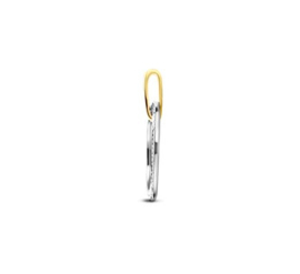 Witgoud + Geelgoud Hanger diamant 0,19ct H SI