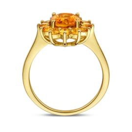 Gouden Ring Citrien met Halo