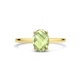 Gouden Ring met Groene Amethist