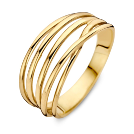 Excellent Jewelry Ring van Geelgoud met Slanke Lijnen RC107718