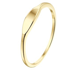 14k Gouden Graveer Ring met Graveerplaatje