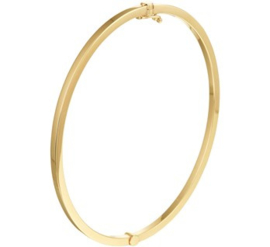 Gouden Bangle Scharnier Vlakke Buis 2,5 x 58 mm