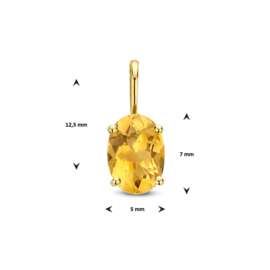 Dames Hanger Goud met Citrien 0.80 ct