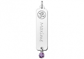 Names4ever Ohm Naamhanger met Zirkonia ZNH43-p