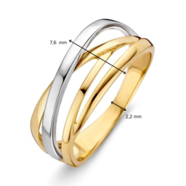 Excellent Jewelry Bicolor Intrigerende Dames Ring