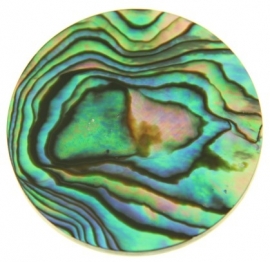 Luxe platte MY iMenso abalone schelp munt