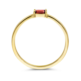 Gouden Ring met Geboortesteen Januari Granaat