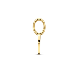 14K Geelgouden Hanger met Letter P