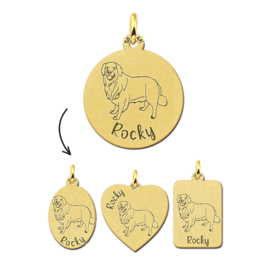 Gouden Hanger met Rashond Golden Retriever + Naam Graveren