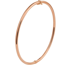 Roségouden Bangle Armband met Zilveren Kern