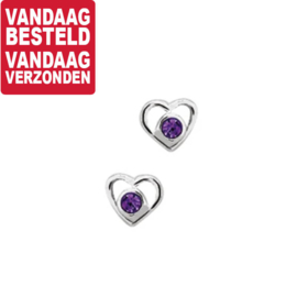 Hart Oorknoppen met Robuuste Paarse Strass