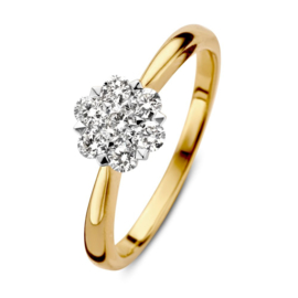 Excellent Jewelry Gouden Bolstaande Ring met Briljant Kopstuk