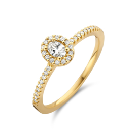 14K Geelgouden Ring met Diamant 0,29ct