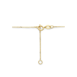 14K Geelgouden Collier met Hartvormige Hanger