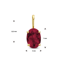 Dames Hanger Goud met Rhodoliet 0.98 ct