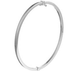 Bangle scharnier vlakke buis 60 x 2,5 mm