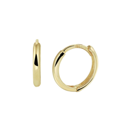 14k Geelgouden Klapoorringen 2mm Diameter 12 mm