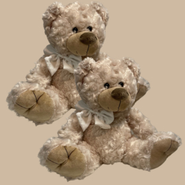 Tweeling Teddybeer Set met 2x Baby Naam Armbandje