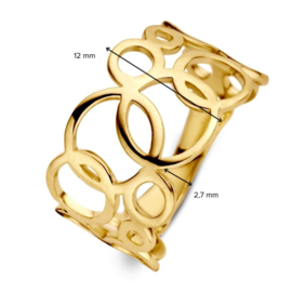 Excellent Jewelry Geelgouden Ring met Opengewerkte Rondjes