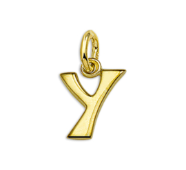 Gouden Letter Bedel Hanger – Y