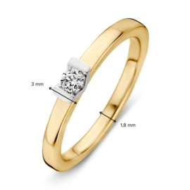 Excellent Jewelry Vlakke Geelgouden Ring met V-vorm en Zirkonia