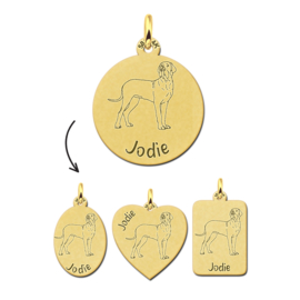 Gouden Hanger met Duitse Dog Hond + Naam Graveren