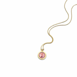 Gouden Medaillon met Oktober Geboortesteen Insignia en Ketting van MY iMenso Gold