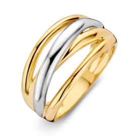 Excellent Jewelry Geelgouden Ring met Witgouden Diagonale Strook