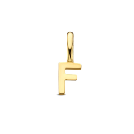 14K Geelgouden Hanger met Letter F