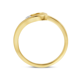 14k Gouden Dames Ringmaat 19