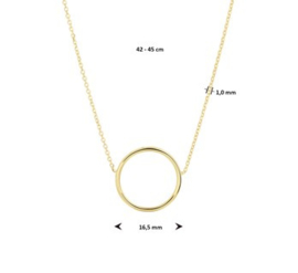 9K Collier met Opengewerkte Cirkelhanger