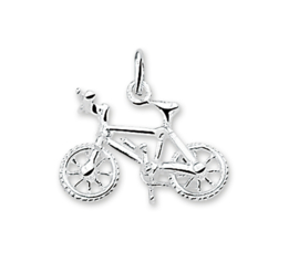 BMX-Fiets Bedel van Gepolijst Zilver 10.03225