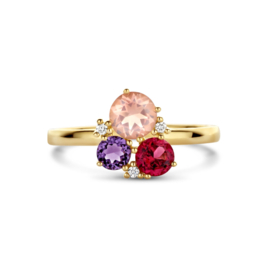 Gouden Ring met Diamanten 0.02ct h p1 en Edelstenen