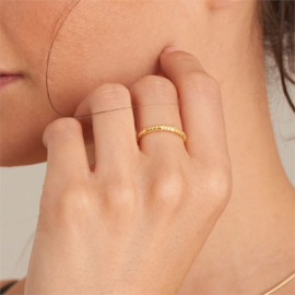 Goudkleurige Smalle Ring met Kabelmotief van Ania Haie One-Size
