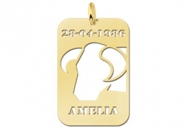 Names4ever Stier Horoscoop Hanger in Goud GHS038