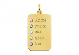 Gouden Dog Tag met Vijf Geboortestenen Names4ever