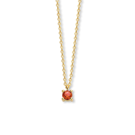 Gouden Collier met Geboortesteen Granaat 0.25ct Januari