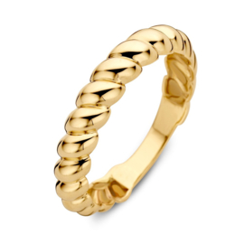 Excellent Jewelry Gouden Dames Ring Gedraaide Band