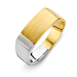 Excellent Jewelry Geelgouden Heren Ring met Witgoud