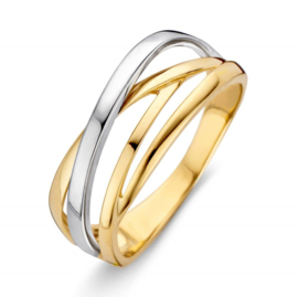 Excellent Jewelry Bicolor Intrigerende Dames Ring