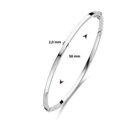 Witgouden Bangle Scharnier Vlakke Buis 58 x 2,0 mm