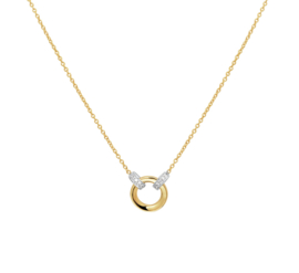 Bicolor Gouden Collier met Diamant 0.03 ct en Opengewerkte Cirkel