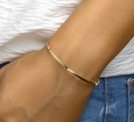 Vlakke Scharnier Bangle Armband van Goud met Zilveren Kern