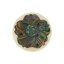 MY iMenso Abalone Bloem Schelp Insignia